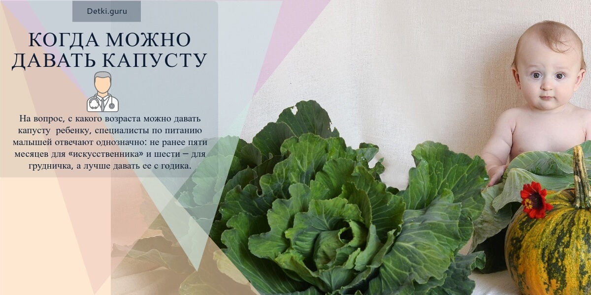 когда можно грудничку давать белокочанную капусту когда можно грудничку давать белокочанную капусту