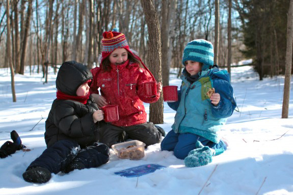 Зимний пикник для детей