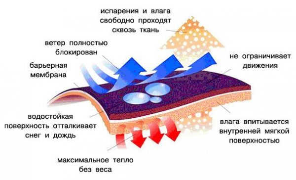 Строение мембранной ткани