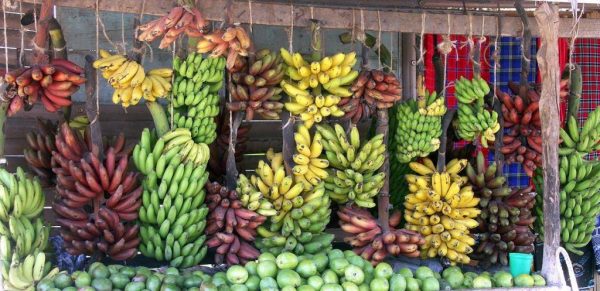 Разноцветные бананы в продаже