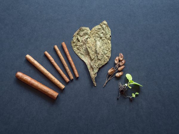 Медики умоляют женщин не использовать табак в любовных играх