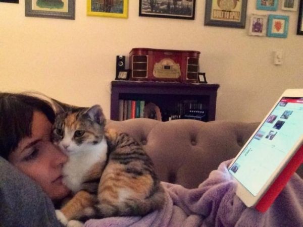 Самоизоляция с котом: все очень серьезно 😉 и как пережить 🤭