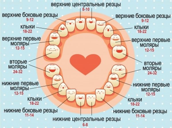 Режутся зубы