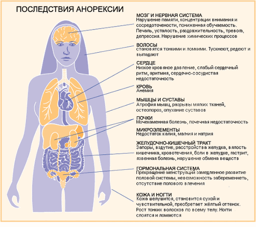 Опаснос анорексии