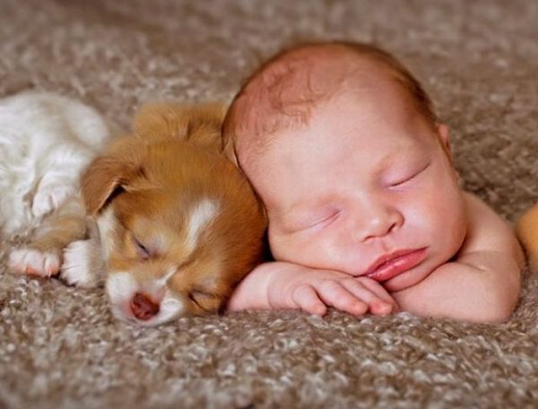 Новорожденный ребенок и собака