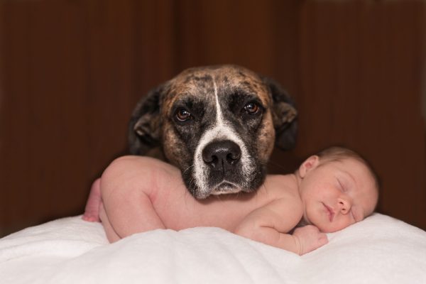 Новорожденный ребенок и собака