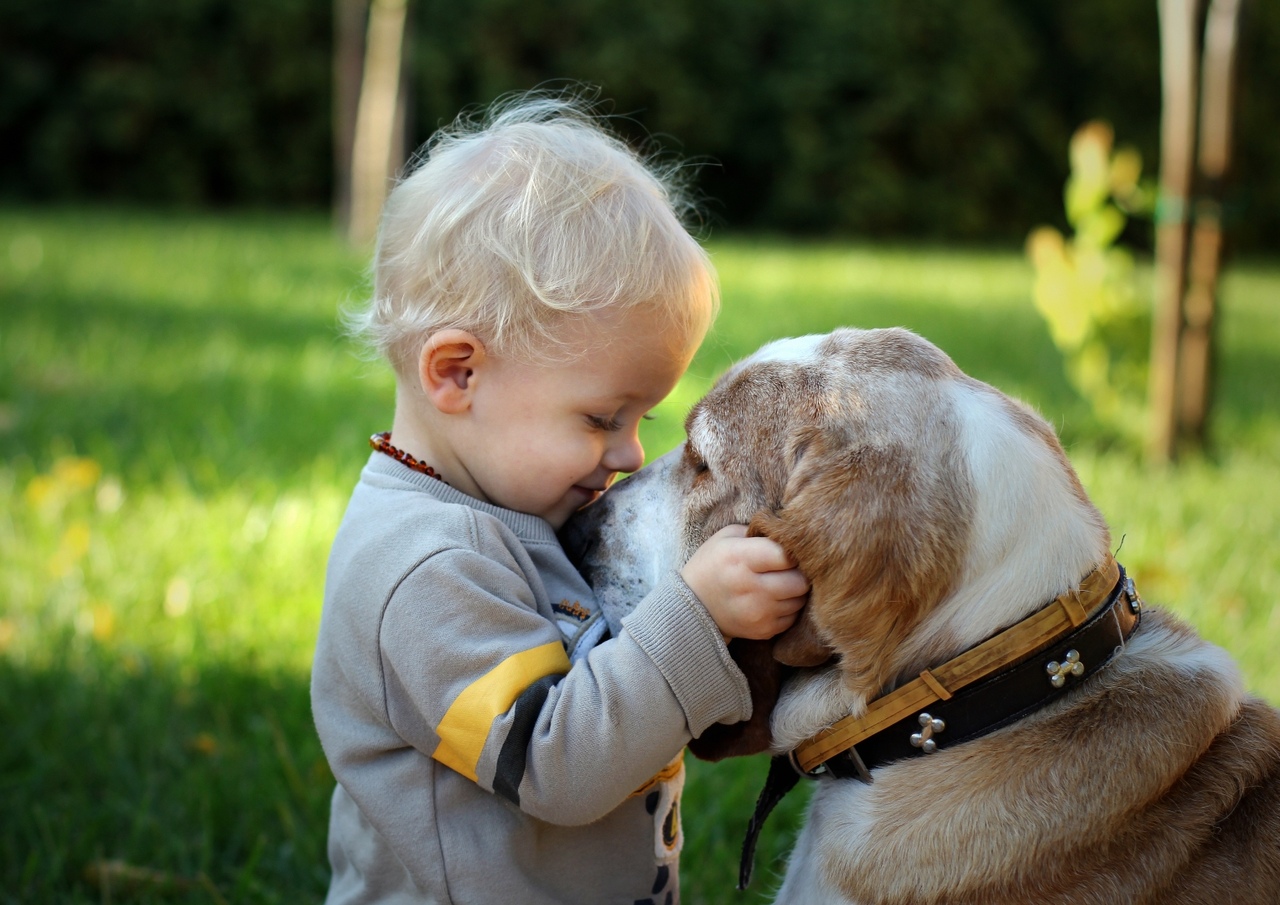 Животные дети просмотра. Собака для детей. Для детей. Животные. Дети и животные Дружба. Любовь к животным.