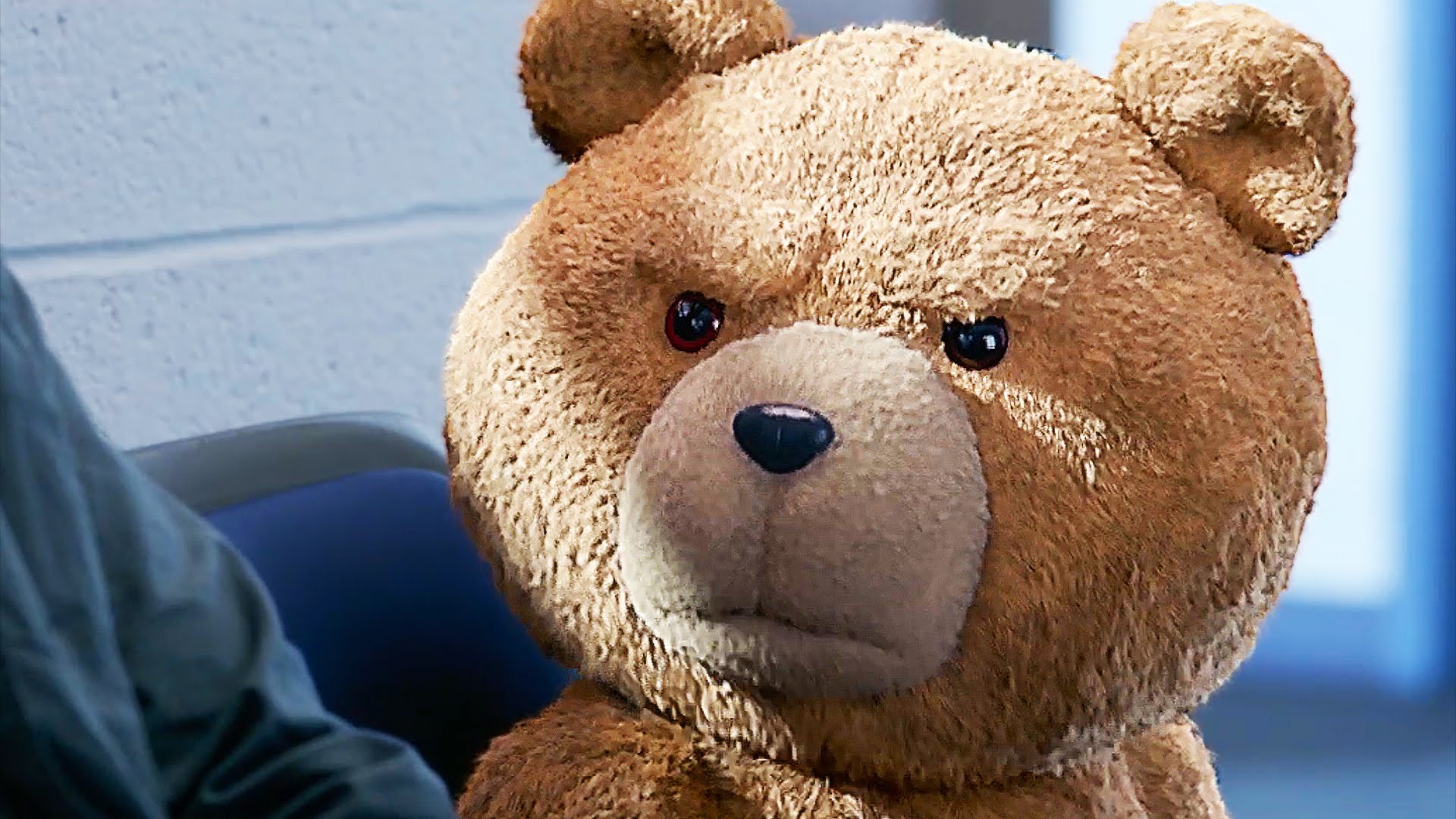 Медведь Тед