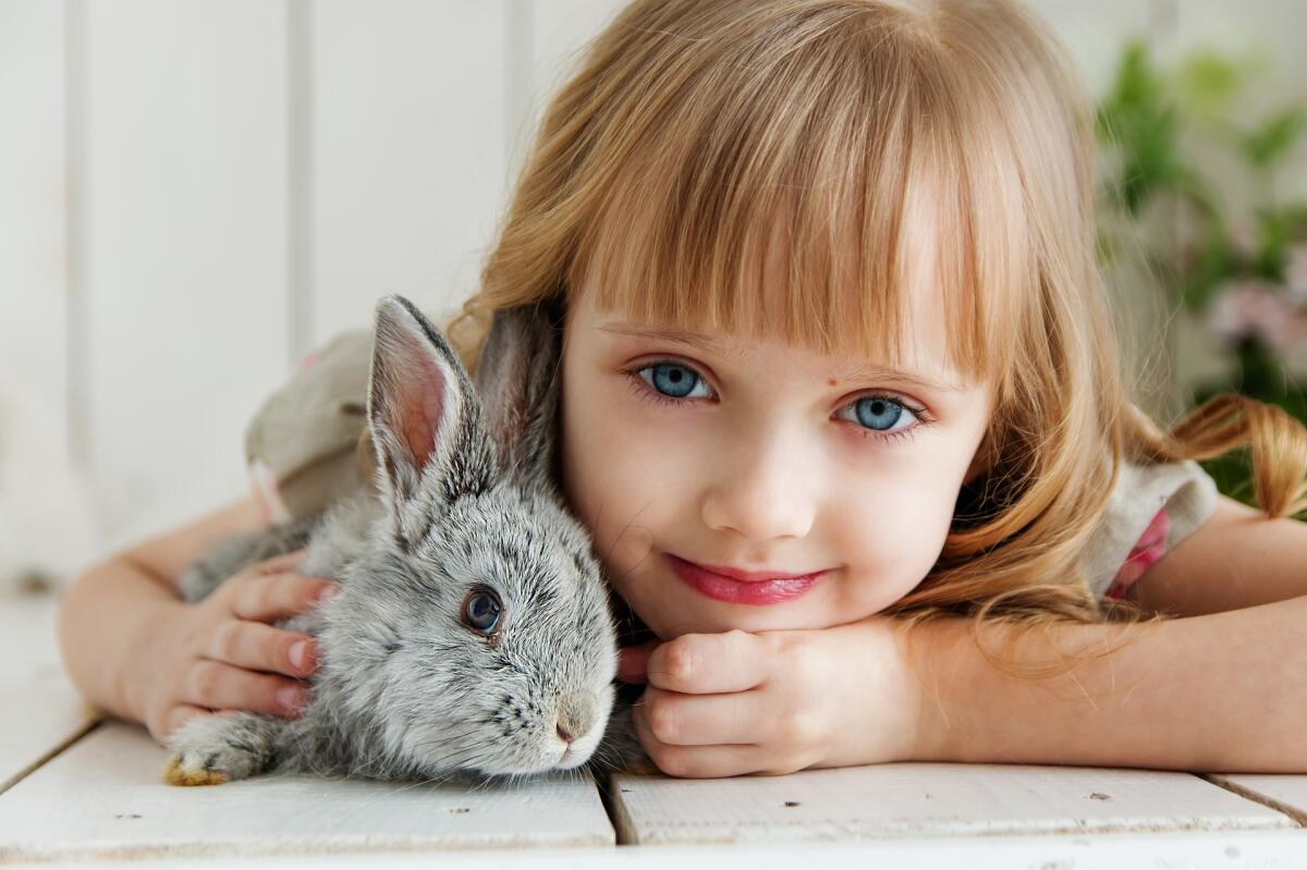 Girl with a rabbit