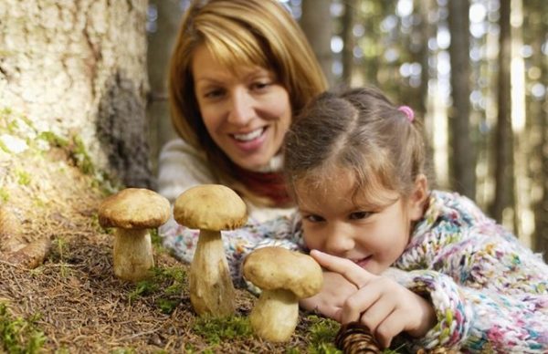 дети и грибы