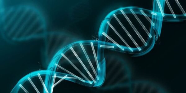 Анализ на отцовство, или как ДНК-исследование позволяет установить факт родства