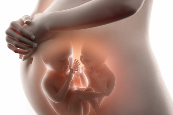Готовьтесь к двойне: малоизвестные признаки многоплодной беременности