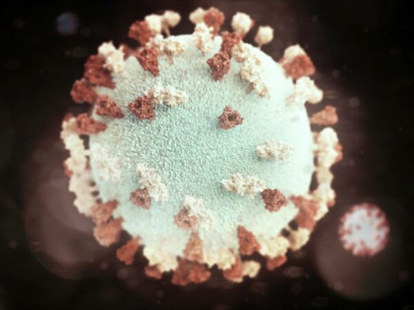Учёные выявили у детей отличительный симптом нового штамма коронавируса «омикрона»