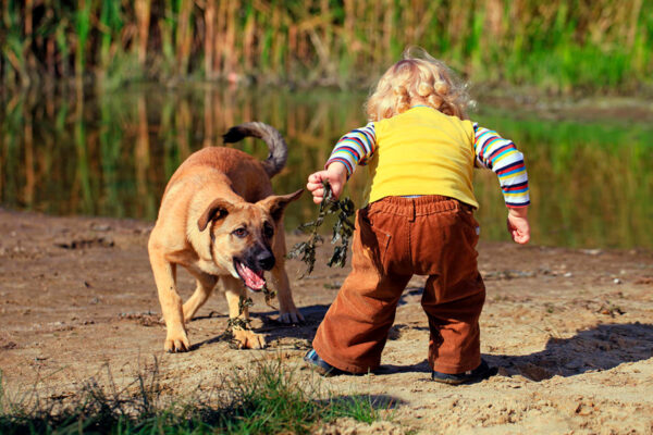 Дети и собаки: как организовать быт, важные моменты