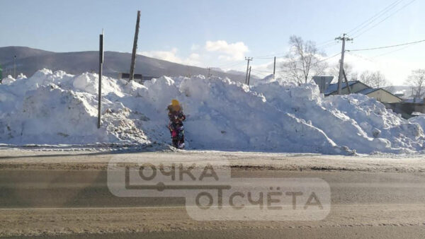 В Южно-Сахалинске водитель автобуса высадил 9-летнюю девочку прямо на проезжей части