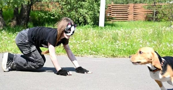 И снова квадроберы: школьница в Краснодаре укусила девочку, изображая собаку