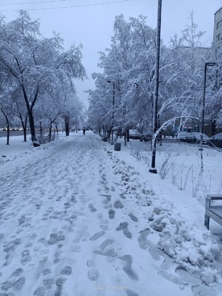 В Свердловской области в новогодние праздники пропали 18 подростков: подробности произошедшего