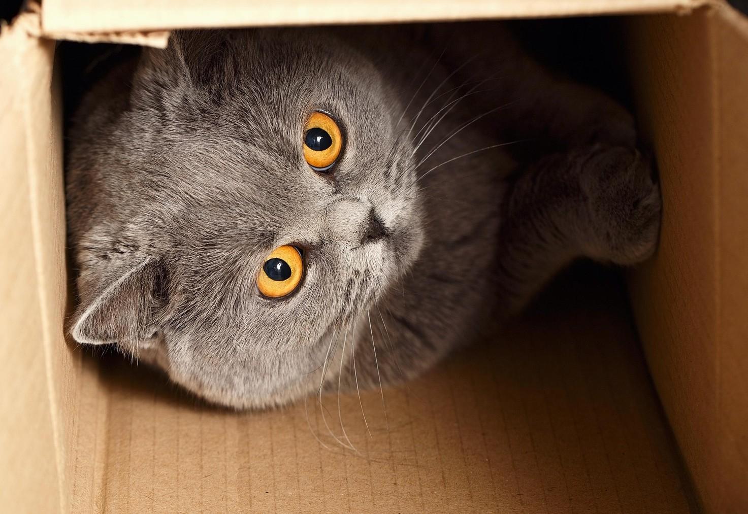Источник: FotoMirta/Shutterstock/Fotodom.ru